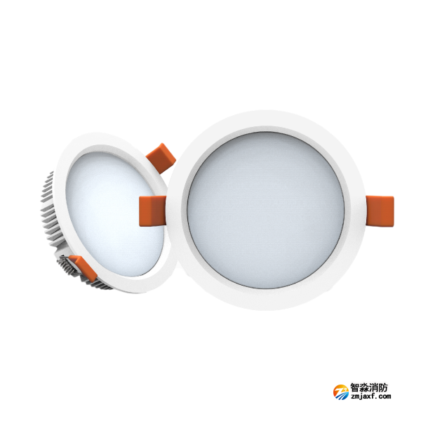 尼特NT-ZFJC-E5W-1309集中电源集中控制型消防应急照明灯具