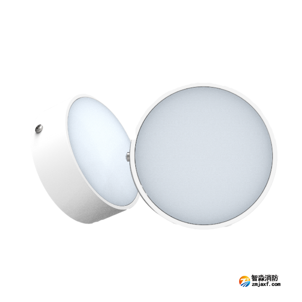 尼特NT-ZFJC-E5W-1308集中电源集中控制型消防应急照明灯具