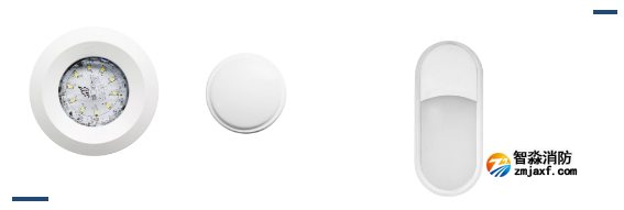 依爱8000系列消防应急灯具