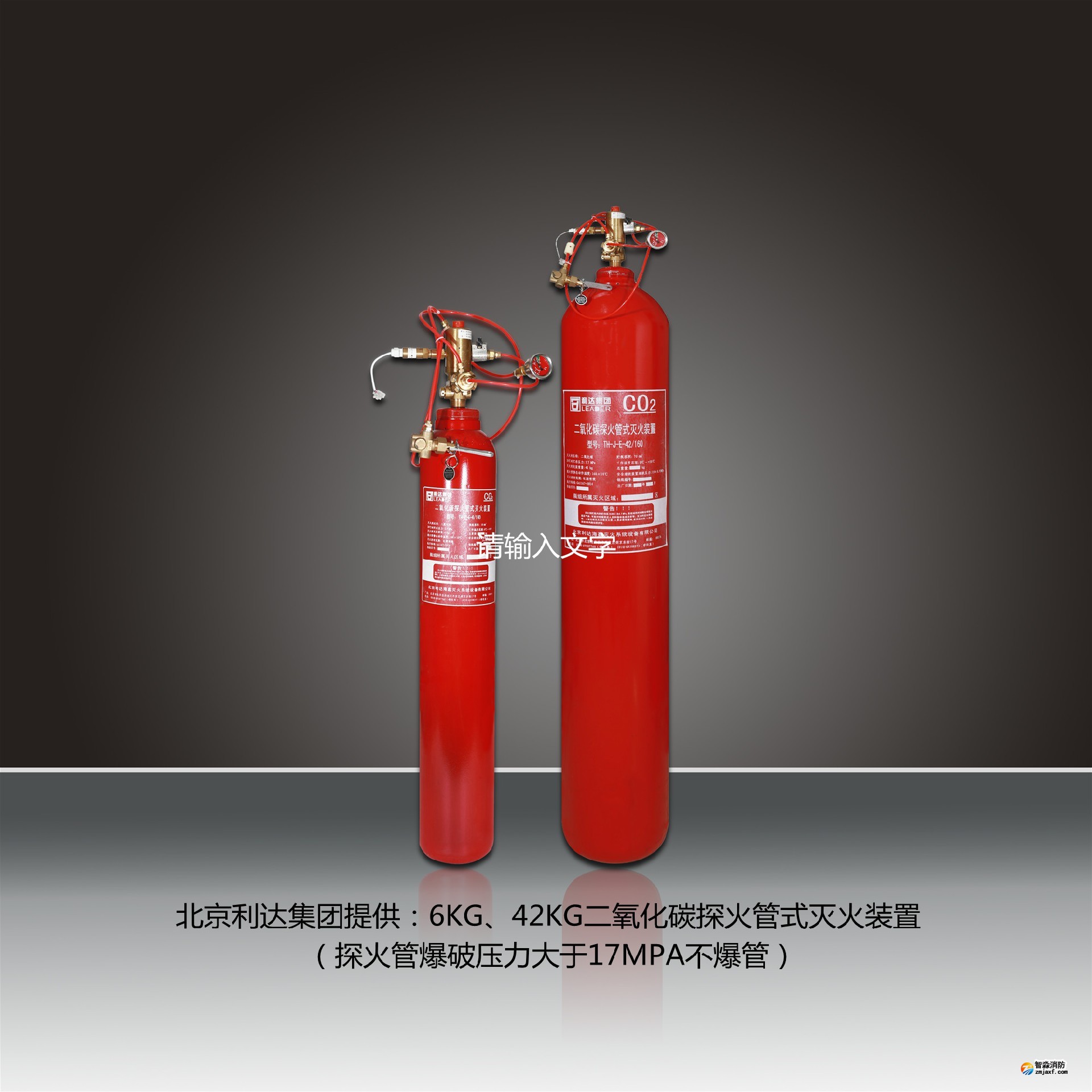 探火管式灭火装置国内外市场销售渠道与市场拓展调研报告
