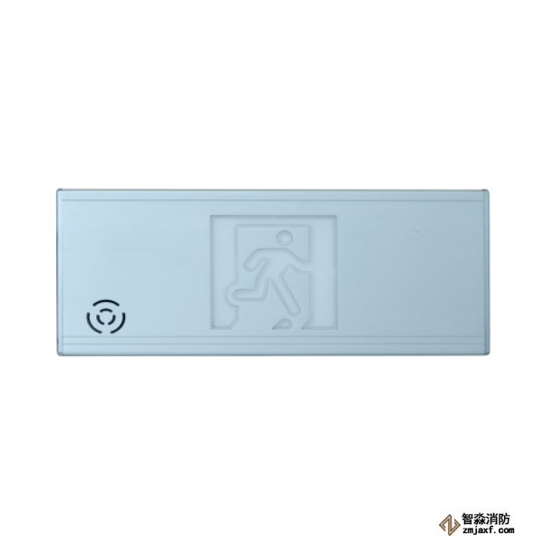 泰和安TS-BLJC-1OEⅠ2W-6448集中电源集中控制型消防应急标志灯