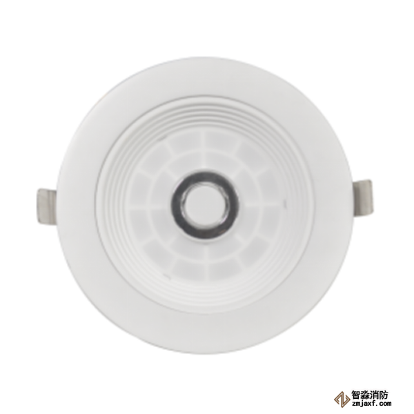 泰和安TS-ZFJC-E8W-6611集中电源集中控制型消防应急照明灯具