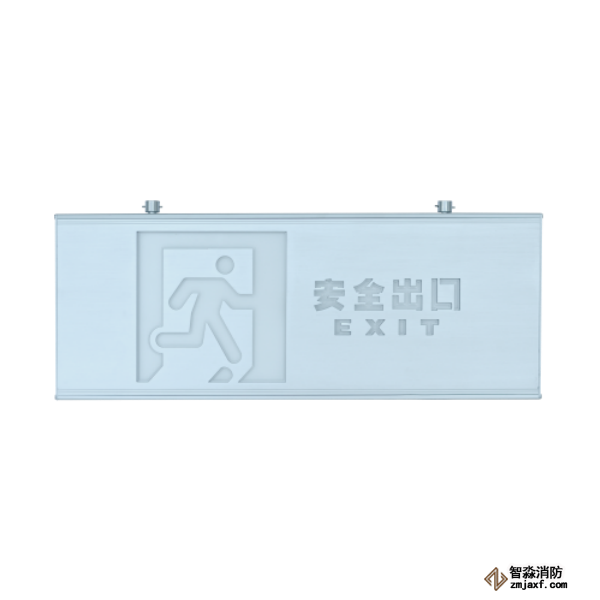 泰和安集中电源集中控制型安全出口标志灯TS-BLJC-2OEⅢ1W-6469