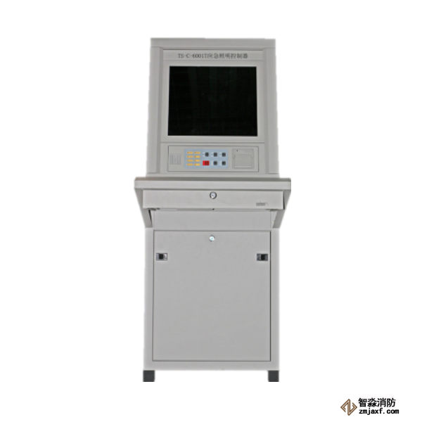 泰和安应急照明控制器TS-C-6001T