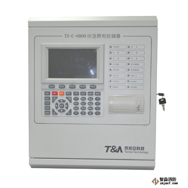 泰和安应急照明控制器TS-C-6000