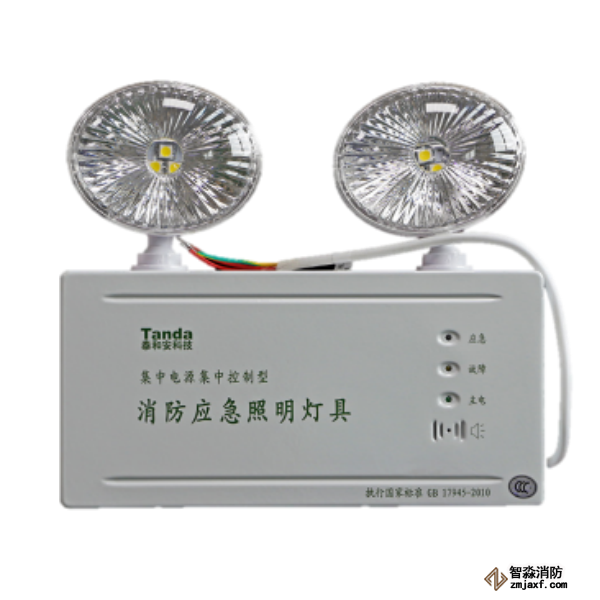 泰和安集中电源集中控制型消防应急照明灯具TS-ZFJC-E2W-6600