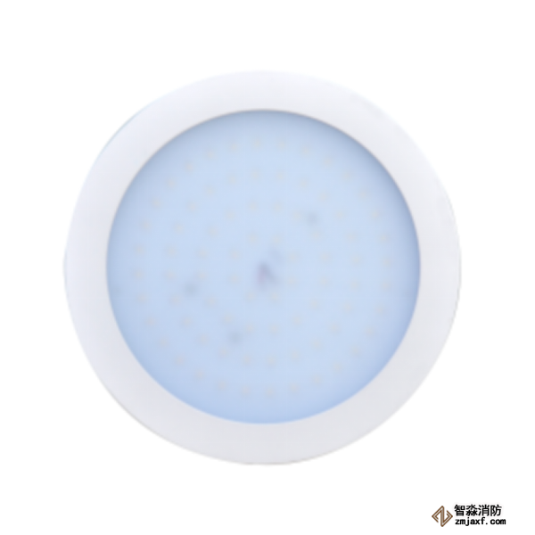 泰和安集中电源集中控制型消防应急照明灯具TS-ZFJC-E5W-6613