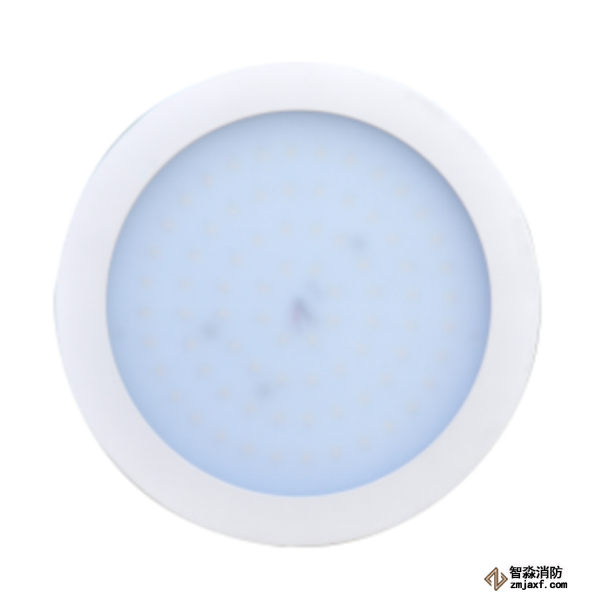 泰和安集中电源集中控制型消防应急照明灯具TS-ZFJC-E12W-6614