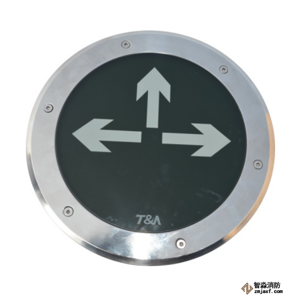泰和安集中电源集中控制型消防应急标志灯具TS-BLJC-1LREⅠ1W-6403